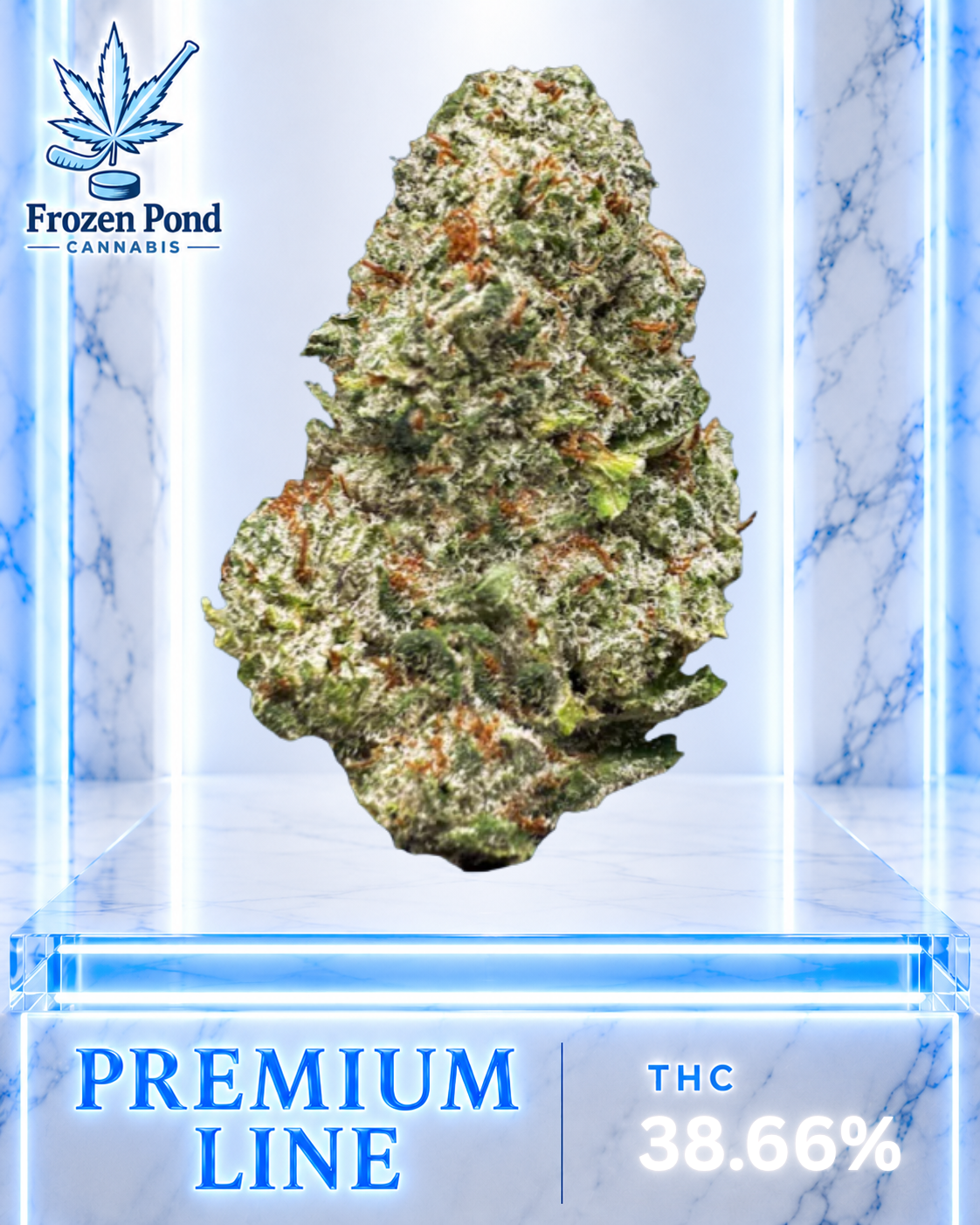 White Widow