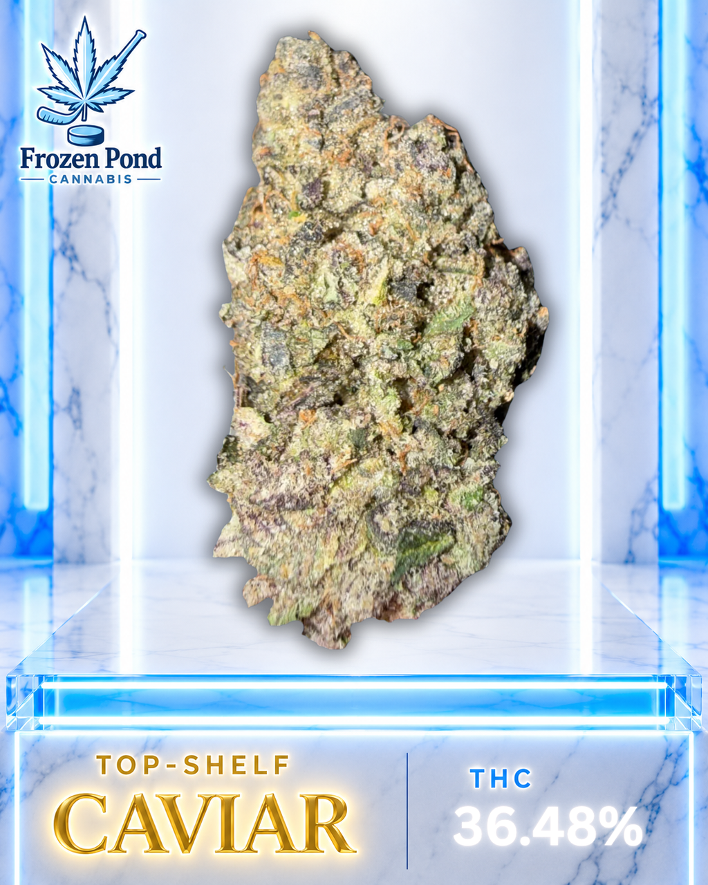 Grape Stomper