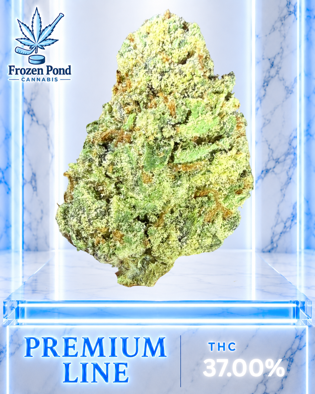 Sour Toad