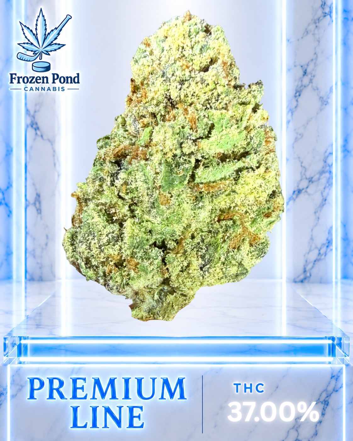 Sour Toad