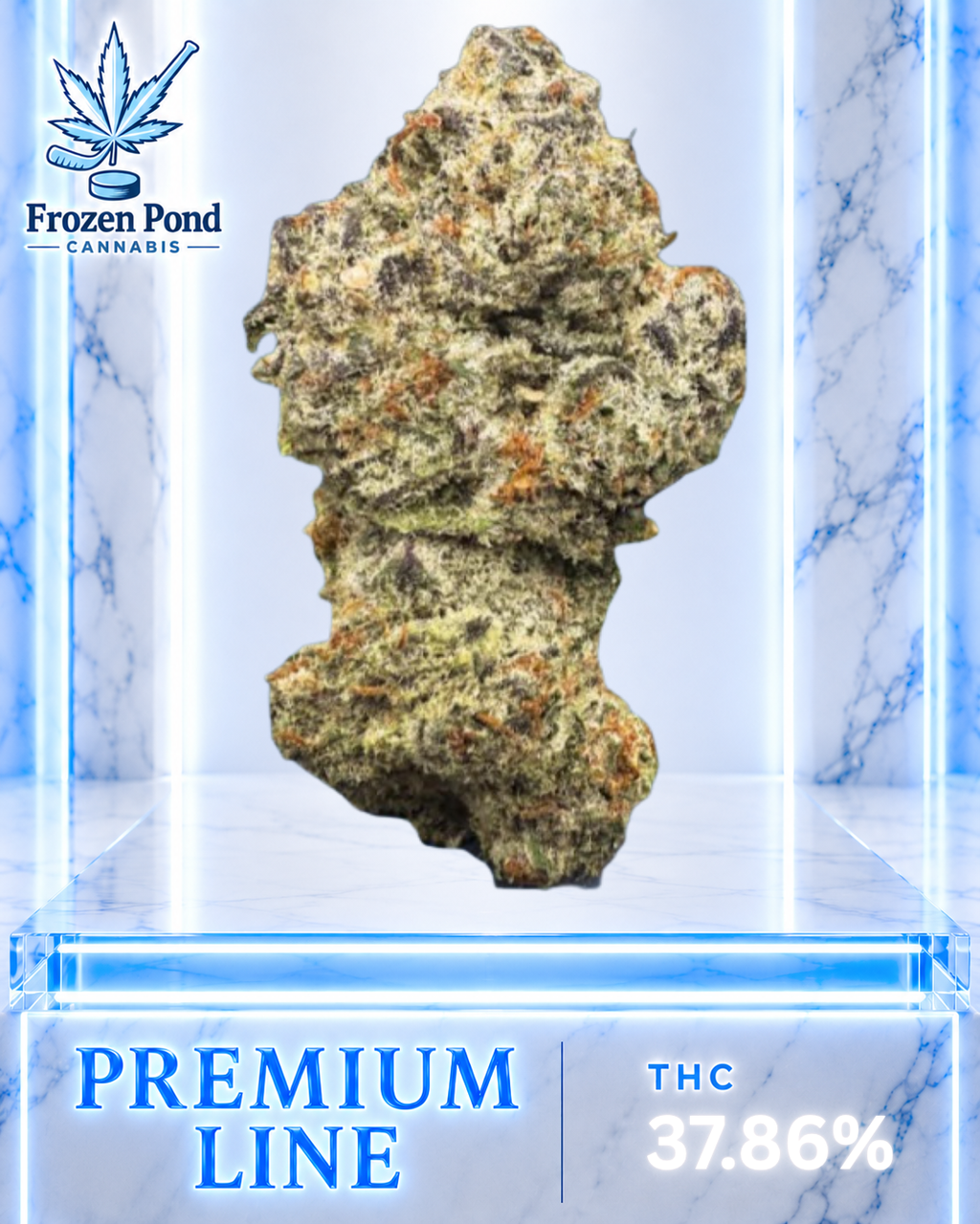 Walter White