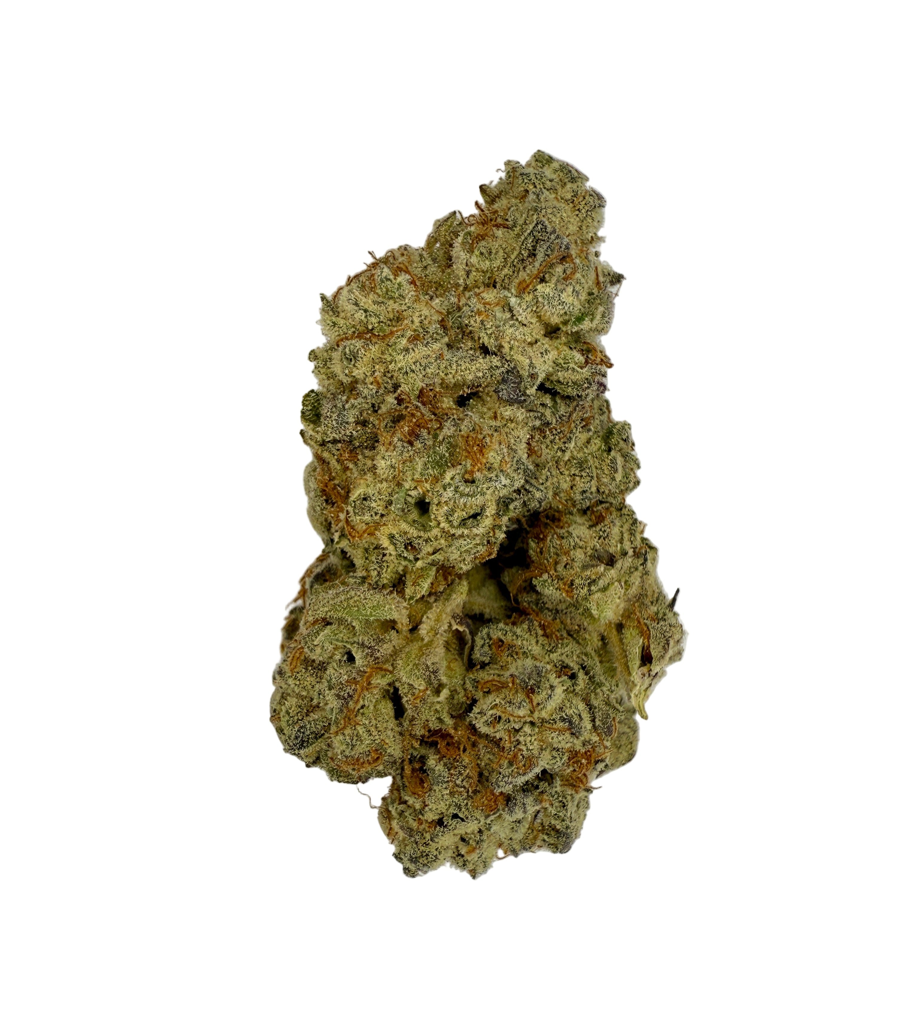 Sundae Driver Hydroponic