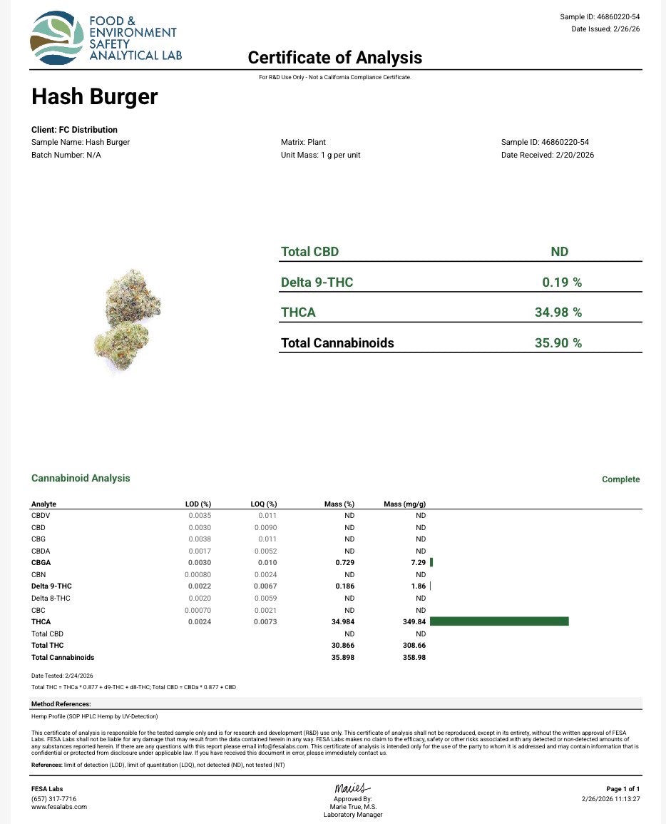 Hash Burger