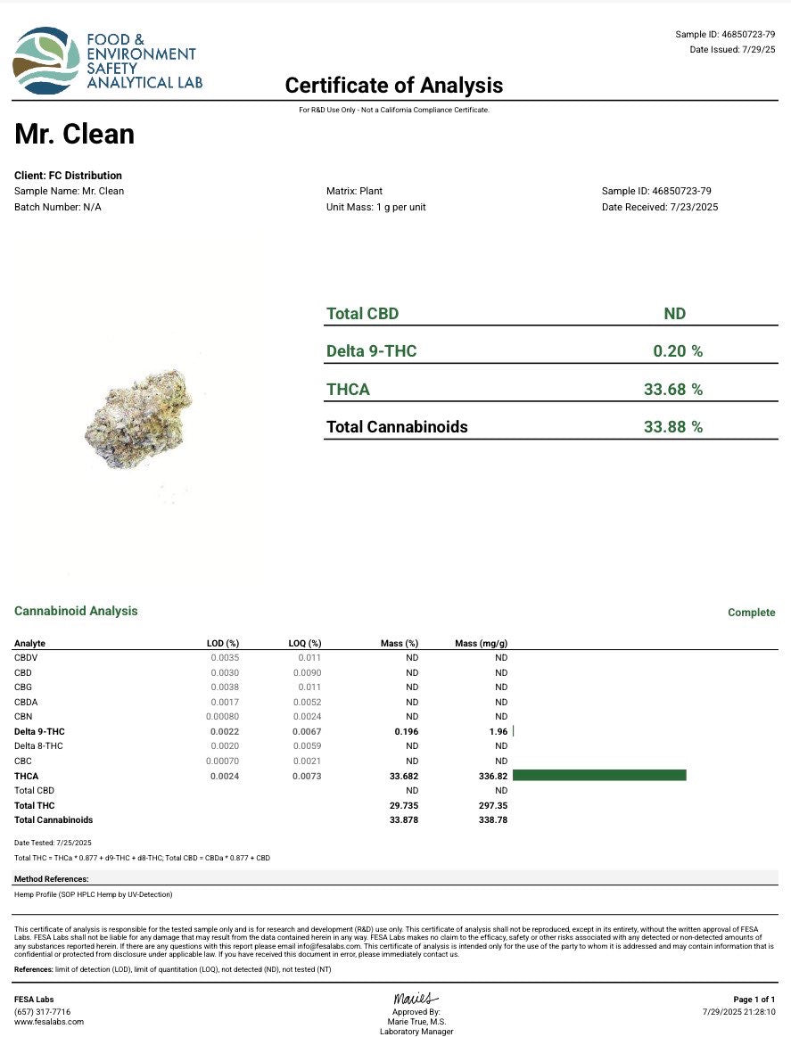 Mr. Clean