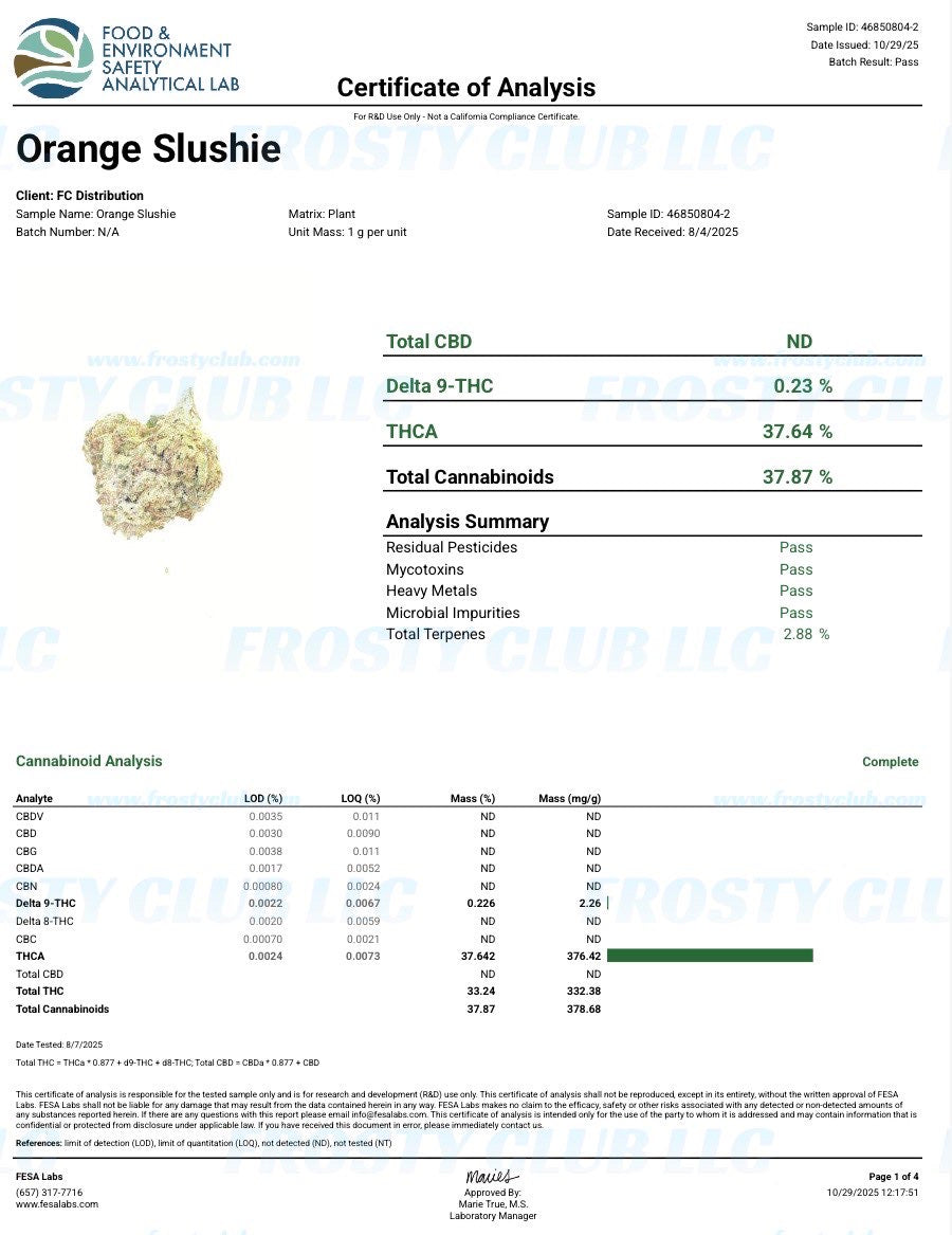 Orange Slushie