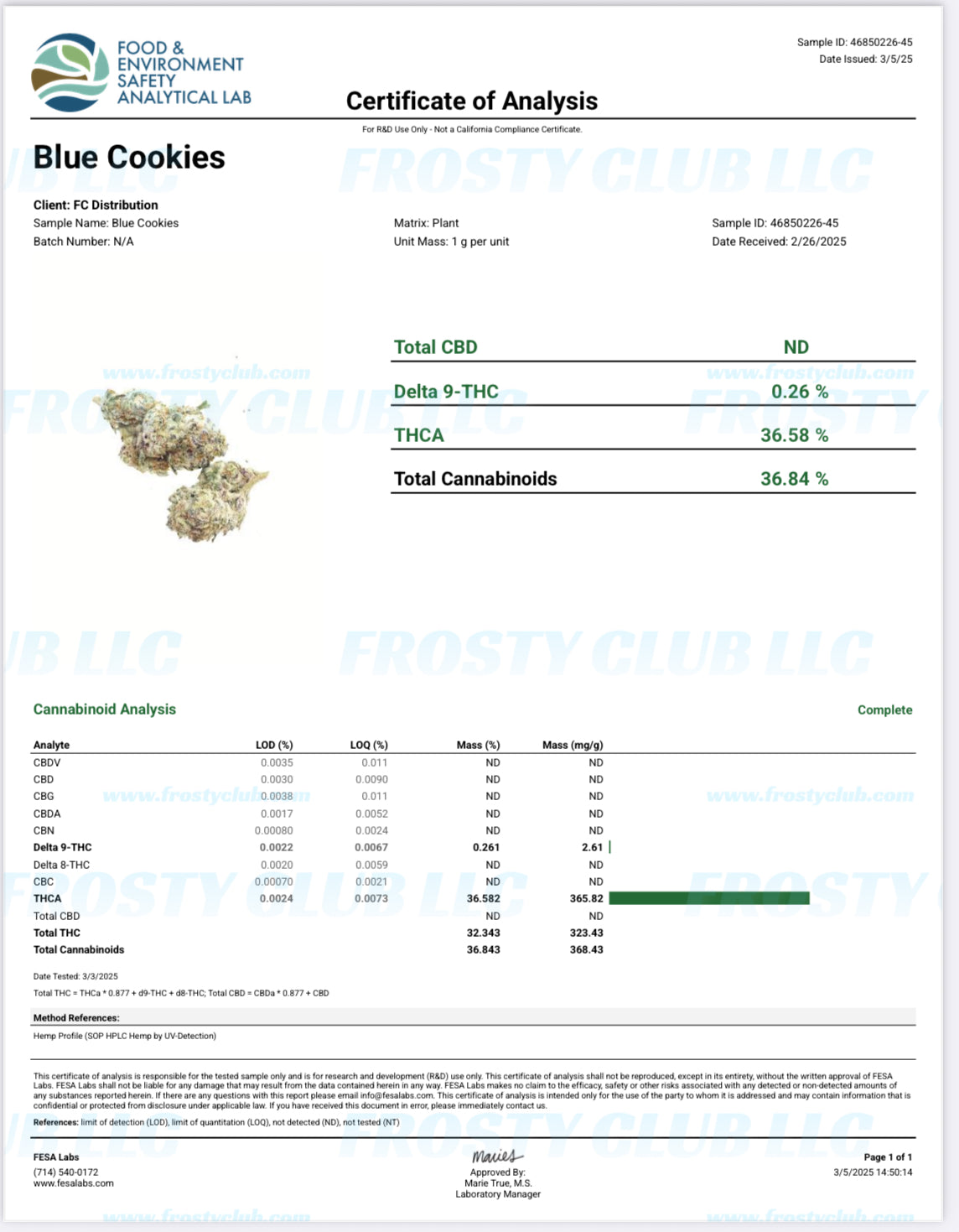 Blue Cookies