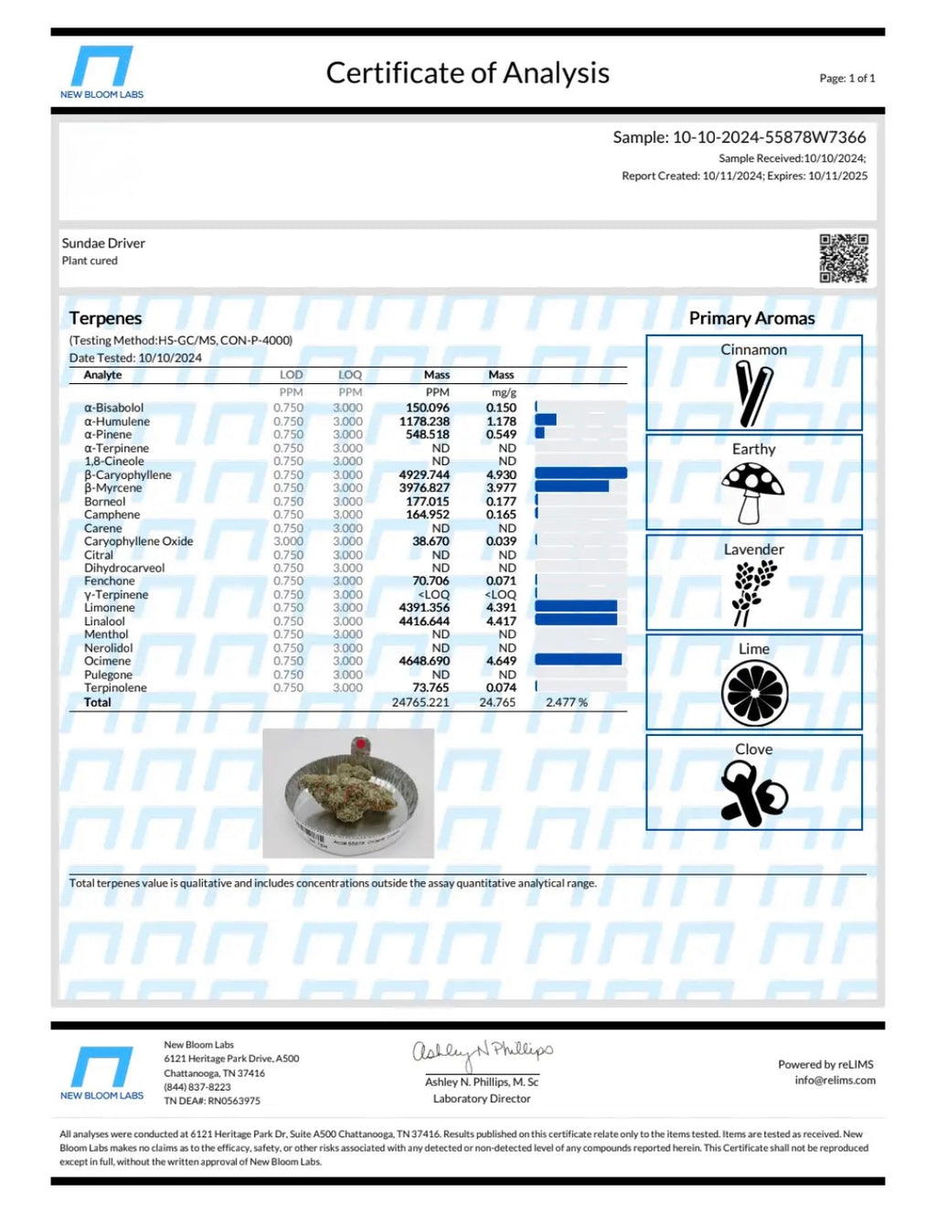 Sundae Driver Hydroponic